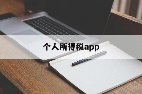 个人所得税app(个人所得税app申报操作流程)